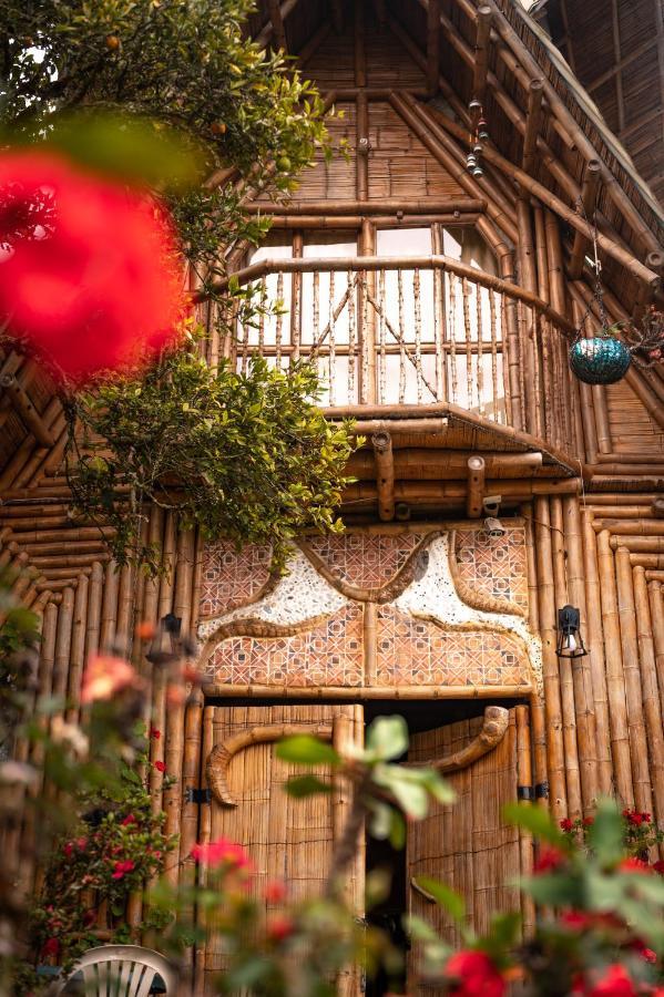 Chalet Ecoturismo La Nohelia Jericoc  Eksteriør billede