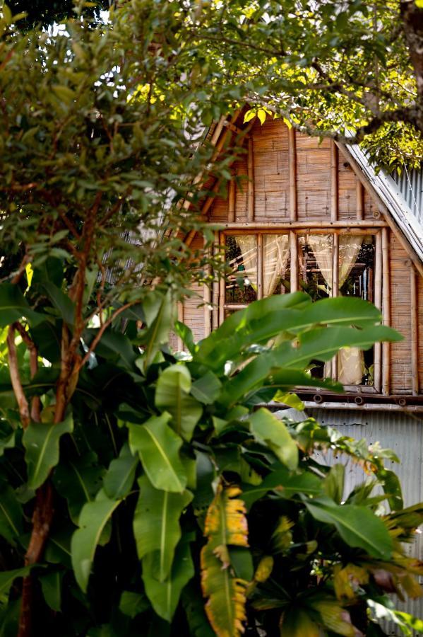 Chalet Ecoturismo La Nohelia Jericoc  Eksteriør billede